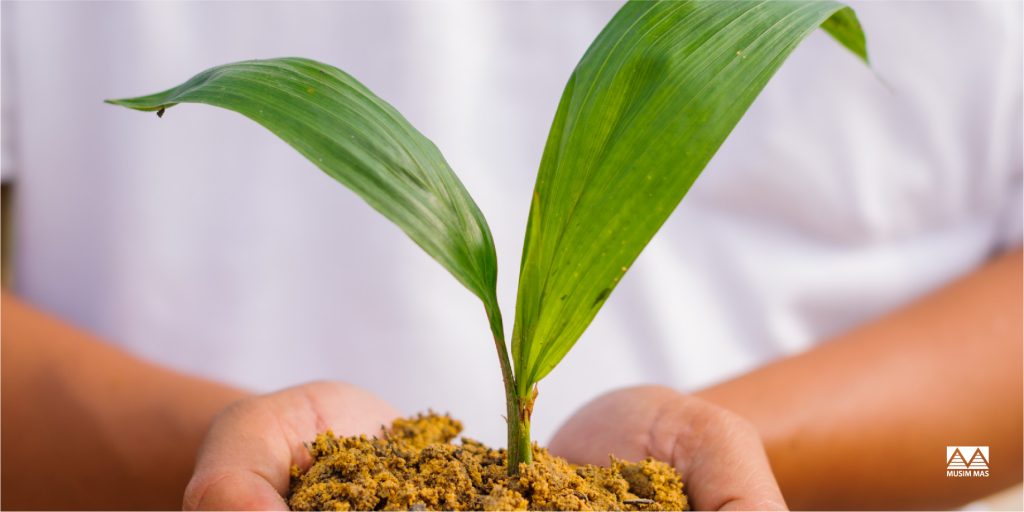 Sustainable Certification – Always a Work in Progress