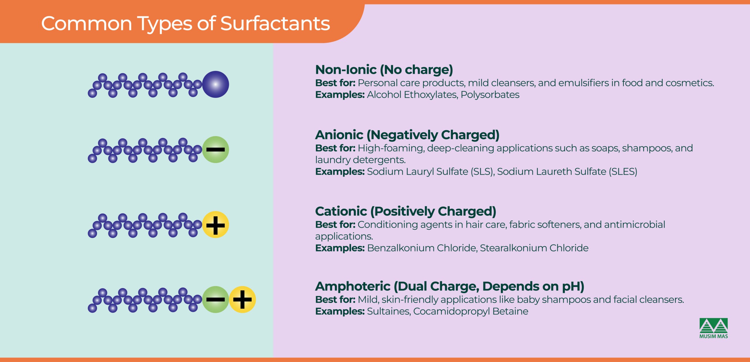 Common Surfactants Types