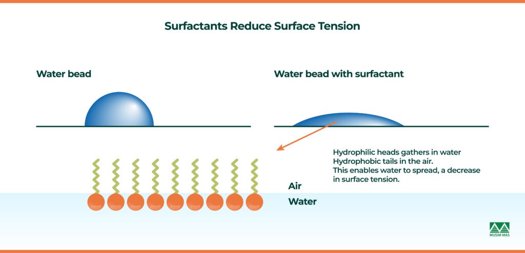 Surfactants Reduce Surface Tension