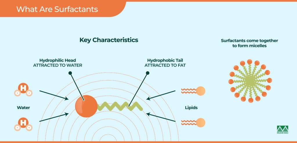 What are surfactants