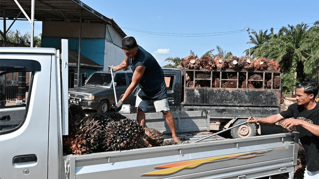 Danish government in collaboration with Preferred by Nature, Ferrero, SAN, Agriterra, and Musim Mas for Sustainable Palm Oil Production in Indonesia